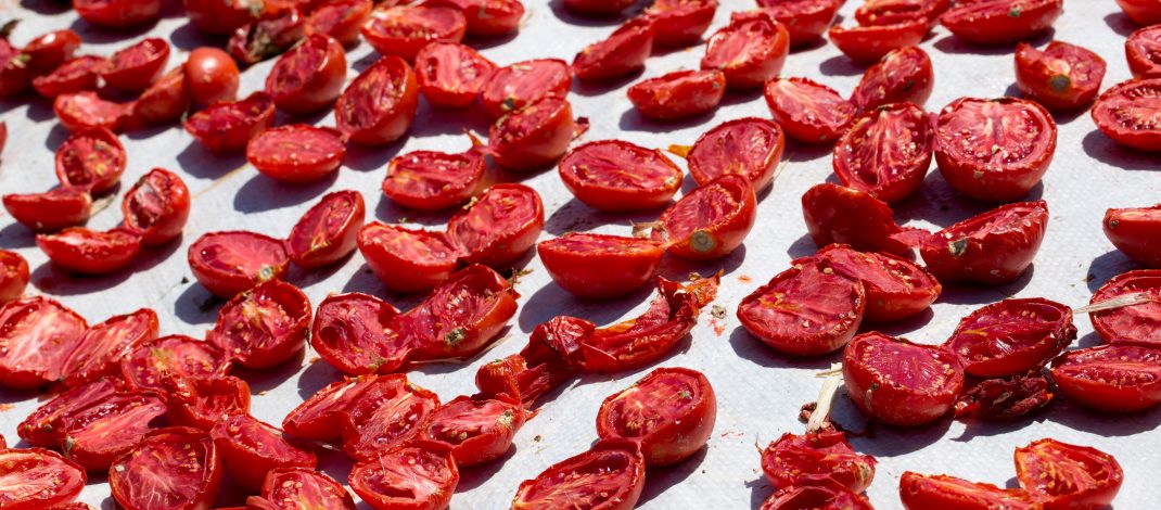 Meyve sebze mamulleri ihracatında aslan payı Ege Bölgesi’nin